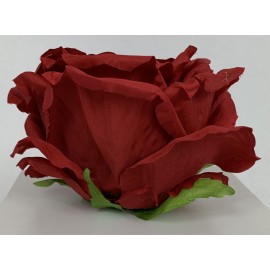 Róża wyrobowa EXCLUSIVE (6-pak) kolor RD14